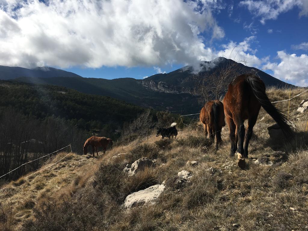 El Jou Nature Sant Corneli エクステリア 写真