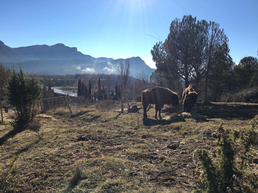 El Jou Nature Sant Corneli エクステリア 写真