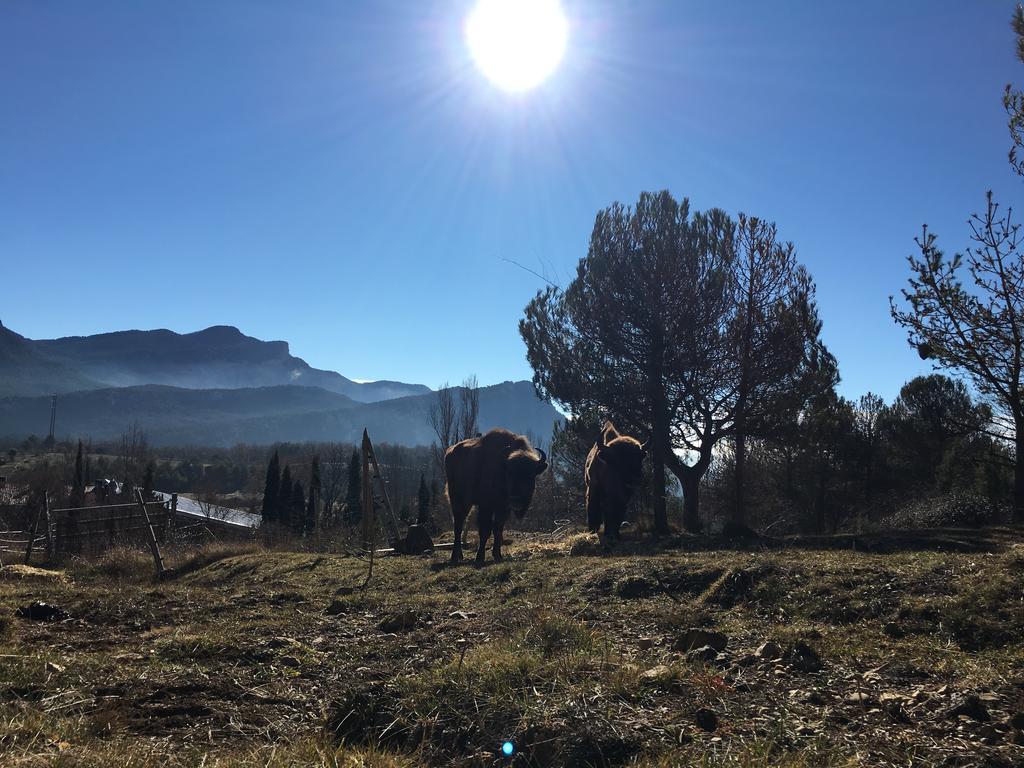 El Jou Nature Sant Corneli エクステリア 写真