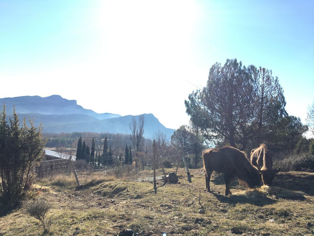 El Jou Nature Sant Corneli エクステリア 写真