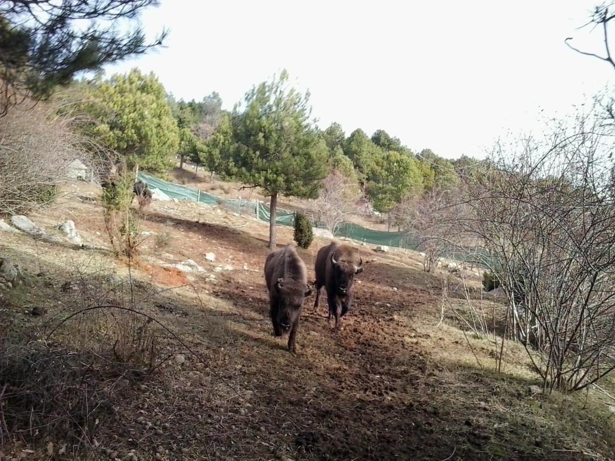 El Jou Nature Sant Corneli エクステリア 写真